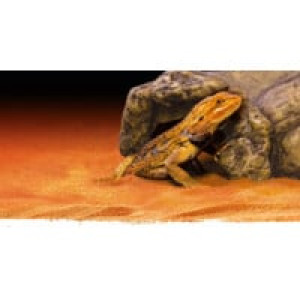  Exoterra Cachette Pour Reptile Grotte Tres Grand 