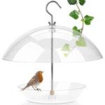  Wildlife Friend I Transparente Mangeoires Oiseaux Extérieure Suspendue - Distributeur De Graines, Maison Oiseaux Sauvage 
