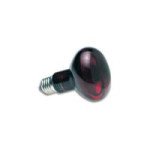  50 W Zoo Med Lampe Spot Infrarouge  - Lampe Chauffante Infra-rouge Nocturne Zoo 