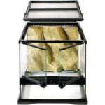  Exoterra Terrarium En Verre Pour Reptiles Et Amphibiens 45x45x45 