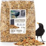 Rêve D'oiseau - Nourriture Pour Merle - Special Avec Baies Et Fruits I Graines Pour Oiseaux Sauvages Exterieur De Premiè 