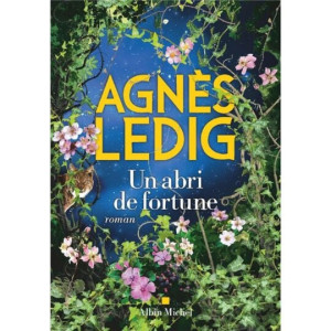 Un abri de fortune - Agnès Ledig