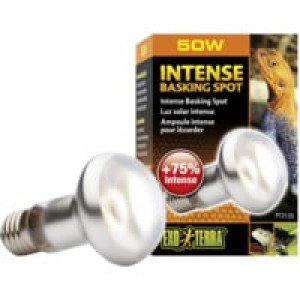  Exoterra Lampe Intense Basking Spot Pour Reptiles 