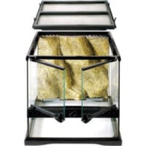  Exoterra Terrarium En Verre Pour Reptiles Et Amphibiens 